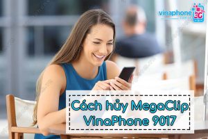 huy megaclip vinaphone 9017