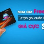 sim-freedoo-vinaphone-va-nhung-dieu-can-biet