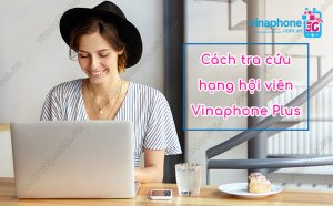 huong dan kiem tra hang hoi vien vinaphone plus