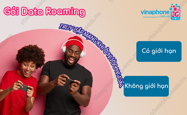 goi data roaming vinaphone