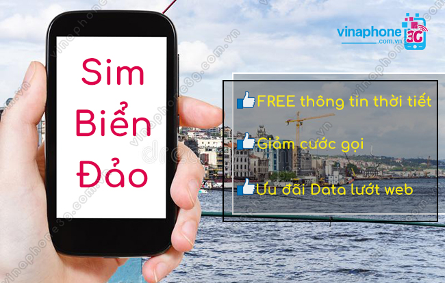 hoa mang sim bien dao vinaphone