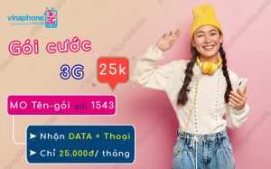 goi cuoc 3g vinaphone 25k