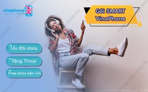 goi smart vinaphone