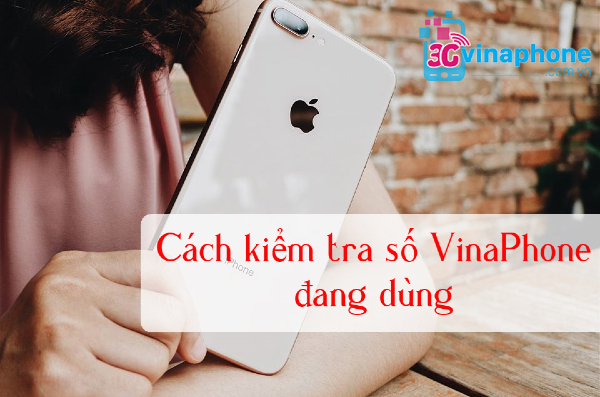 kiem tra so dien thoai vinaphone cua minh kiem tra so dien thoai vinaphone dang dung