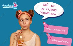 cach kiem tra goi bum35 vinaphone