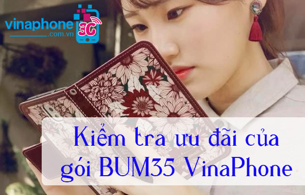kiem tra uu dai goi bum35 vinaphone nhu the nao kiem tra goi bum35 vinaphone