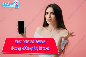 sim VinaPhone bị khoa