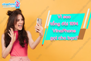 tong dai 1094 vinaphone