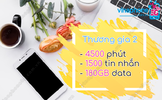 Thuong gia 2 VinaPhone