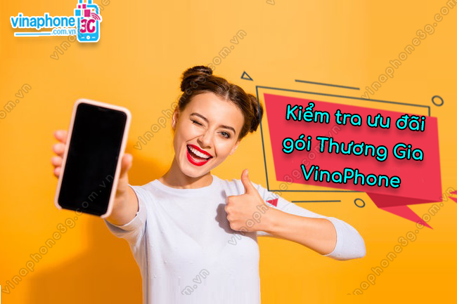 kiem tra goi thuong gia vinaphone nhu the nao kiem tra goi thuong gia vinaphone