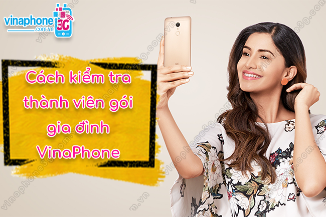 kiem tra thanh vien goi gia dinh vinaphone nhu the nao kiem tra thanh vien goi gia dinh vinaphone