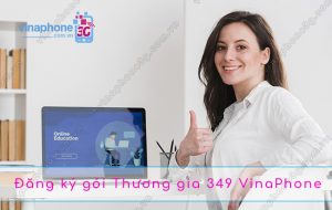 goi-cuoc-thuong-gia-349-vina