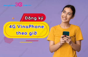 cach dang ky 4g vinaphone theo gio