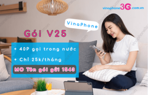 goi v25 vinaphone