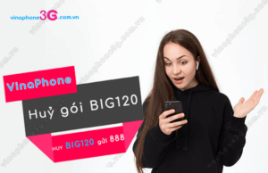 huy goi BIG120 VinaPhone