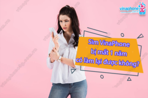 lam lai sim vinaphone bi mat 1 nam