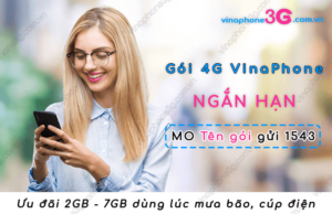 goi cuoc 4g vinaphone ngan ngay