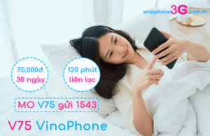 goi cuoc v75 vinaphone