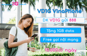 goi cuoc vd1g vinaphone