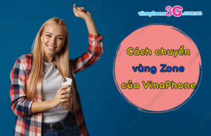 cach chuyen vung zone cua vinaphone