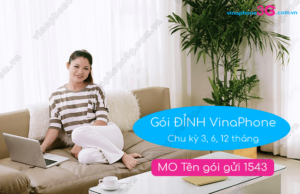 cac goi dinh chu ky dai vinaphone