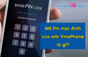 ma pin mac dinh cua sim vinaphone