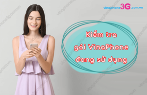 cach kiem tra goi dang su dung cua vinaphone