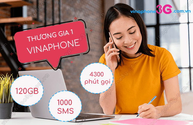 dang ky goi thuong gia 1 vinaphone nhu the nao? goi cuoc thuong gia 1 vinaphone