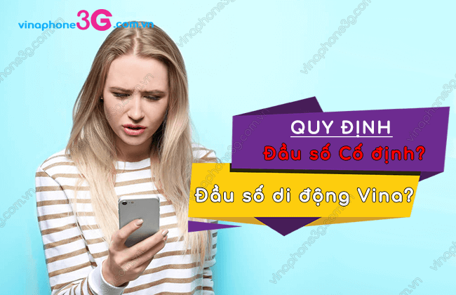 cach nhan biet dau so co dinh va dau so di dong vinaphone? phan biet dau so co dinh va dau so di dong vinaphone