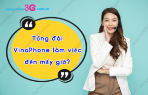 tong dai vinaphone lam viec den may gio