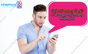 goi noi mang vinaphone la gi