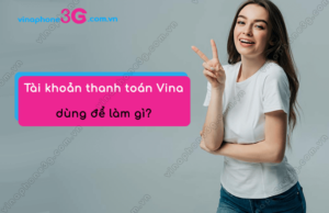 tai khoan thanh toan vinaphone