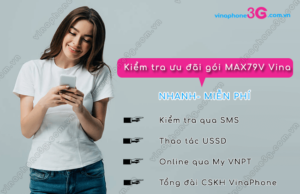 kiem tra goi max79v vinaphone