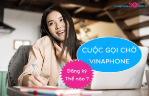 cach dang ky cuoc goi cho vinaphone