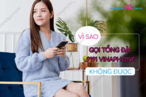 khong goi duoc tong dai 9191 vinaphone