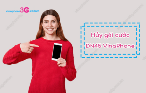 huy goi dn45 vinaphone