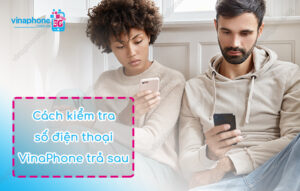 kiem tra so dien thoai vina tra sau