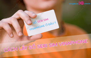 lay so seri sim vinaphone