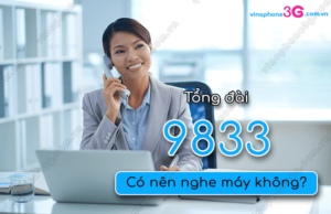 tong dai 9833 la gi