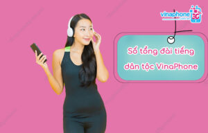 tong dai dan toc vinaphone