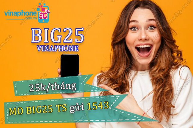 goi big25 vinaphone