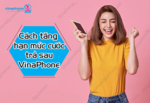 cach tang han muc cuoc tra sau vinaphone