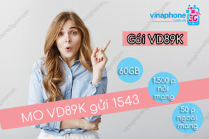 goi cuoc vd89k vinaphone