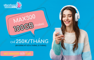 goi cuoc max300 vinaphone