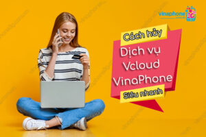 cach huy dich vu vcloud vinaphone