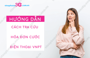 cach tra cuu hoa hoa don cuoc dien thoai vnpt