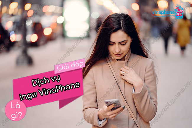 Dich vu ingw vinaphone la gi? Dich vu ingw vinaphone