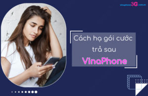 Cach thay doi goi cuoc tra sau VinaPhone voi gia thap hon