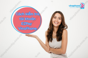 tra cuu tai khoan ezpay vinaphone