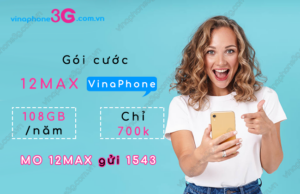 goi 12max cua vinaphone